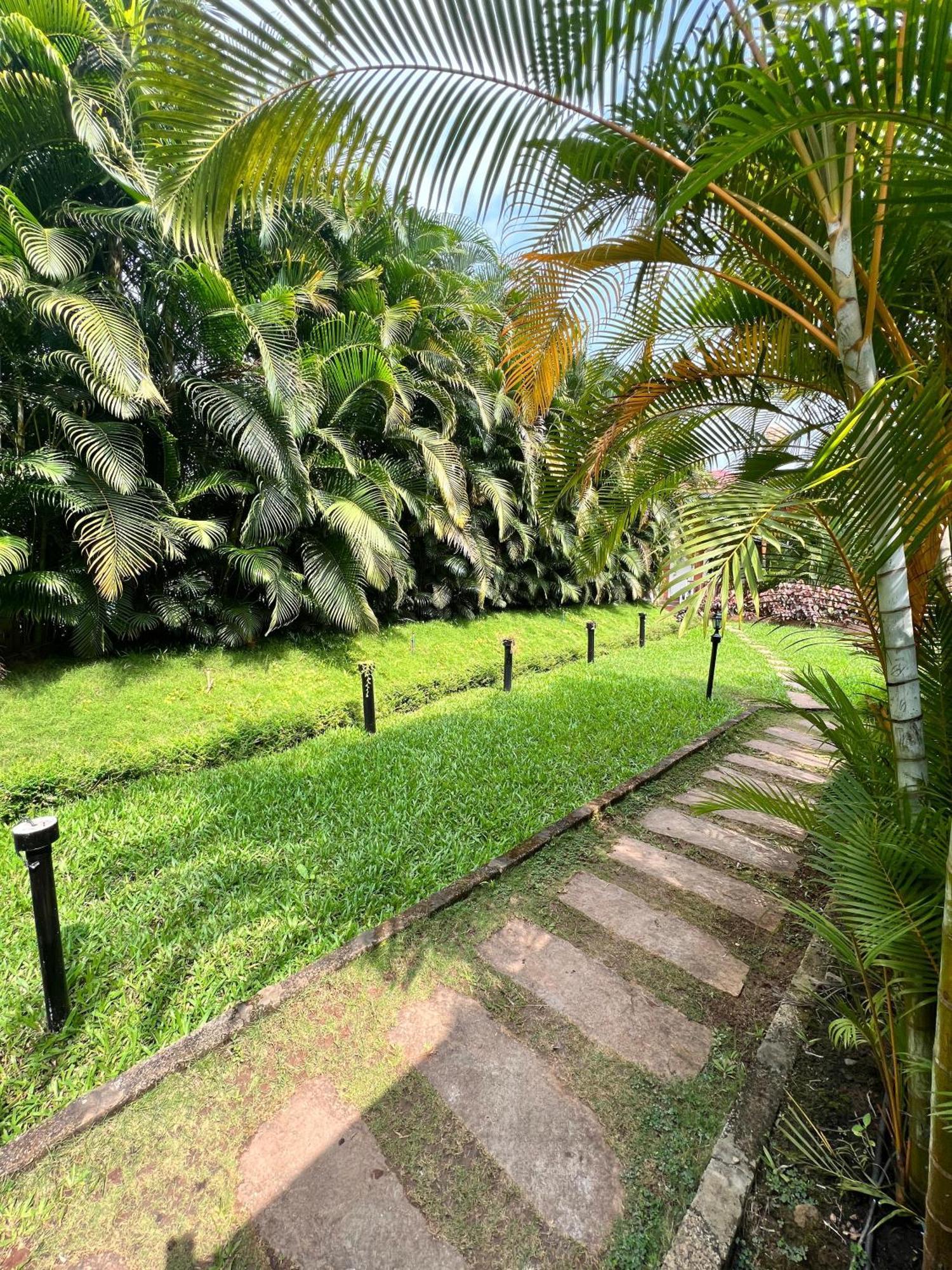 Coorg Nesara Hotel And Resort Кушалнагар Экстерьер фото